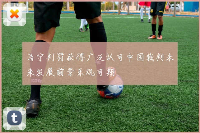 马宁判罚获得广泛认可中国裁判未来发展前景乐观可期