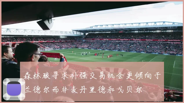 森林狼寻求补强交易机会更倾向于兰德尔而非麦丹里德和戈贝尔